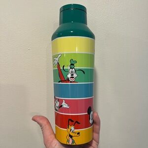 Disney x corkcicle Character Insulated Water Bottle - Multicolor